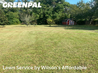Yard Services in Valdosta, 31605, Turf Services by Wilson's Affordable , work completed in Nov , 2025