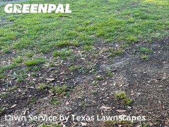 Lawn Mowing nearby The Colony, TX, 