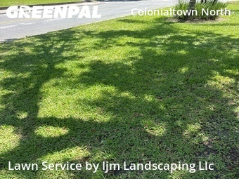 Yard Cutting nearby Orlando, FL, 