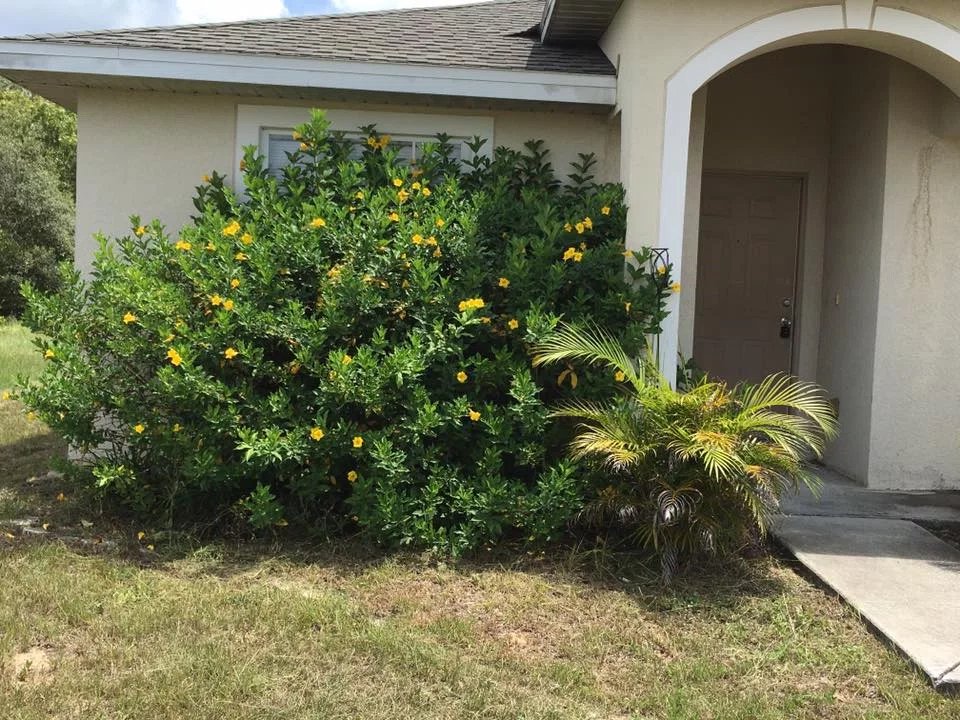 Lawn Mowing Contractor in Kissimmee, FL, 34746