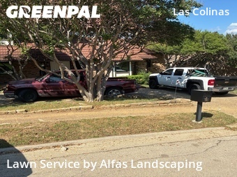 Lawn Mowingin Irving,75062,Lawn Maintenance by Alfas Landscaping, work completed in Jun , 2026