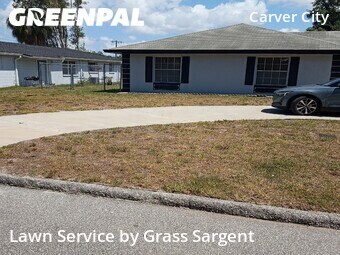 Grass Cut nearby Tampa, FL, 