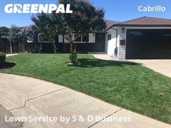 Lawn Care nearby Fremont, CA, 