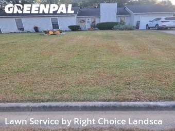 Lawn Cut nearby Jonesboro, GA, 