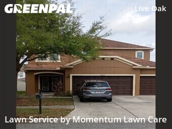 Lawn Cutting nearby Tampa, FL, 