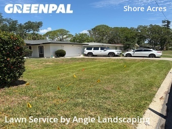 Lawn Cut nearby St. Petersburg, FL, 