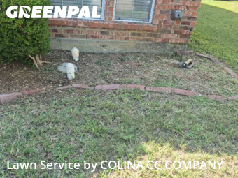 Yard Cutting nearby Lewisville, TX, 