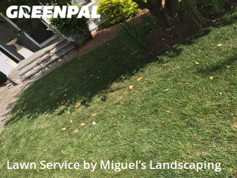 Lawn Care nearby Annapolis, MD, 