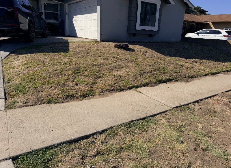Lawn mowing work by South Cal Landscaping in Solana Beach, CA