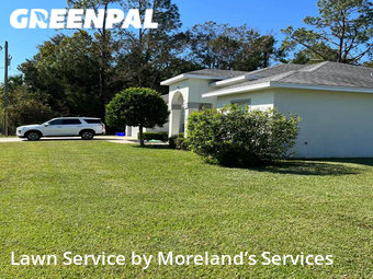 Lawn Mowing nearby Palm Coast, FL, 