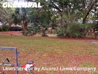 Lawn Care Service nearby Apopka, FL, 