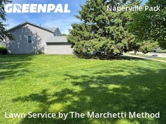 Yard Mowing nearby Naperville, IL, 