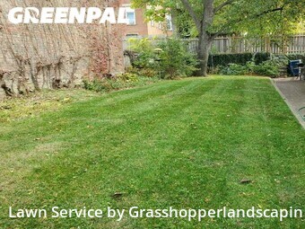 Lawn Cutting nearby Cincinnati, OH, 