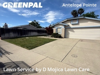 Lawn Mow nearby Antelope, CA, 
