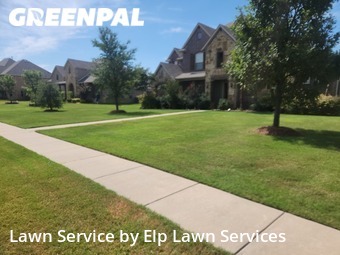 Yard Cutting nearby Sunnyvale, TX, 