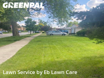 Lawn Cutting nearby Niles, IL, 