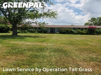 Grass Cut nearby Lebanon, TN, 