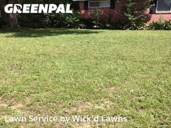 Lawn Cut nearby Pensacola, FL, 