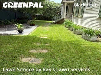 Lawn Cutting nearby New Orleans, LA, 