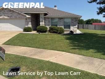 Backyard Mowing in Glenn Heights, 75154, Grass Cutting by Top Lawn Carr, work completed in Aug , 2025
