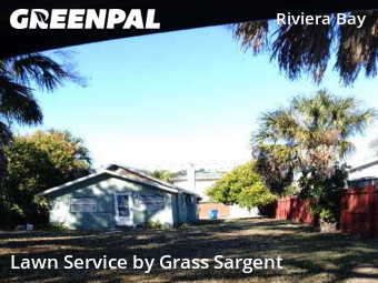 Landscaping Renovation In St. Petersburg,33713,Landscaping Maintenance by Grass Sargent, work completed in Jan , 2026
