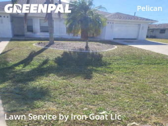 Lawn Mowing Service nearby Cape Coral, FL, 