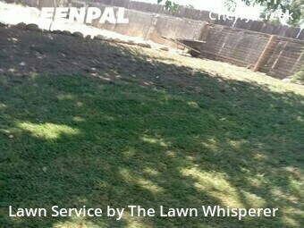 Lawn Cut nearby Elverta, CA, 