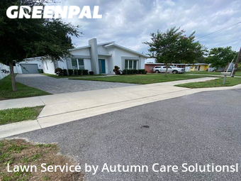 Lawn Cut nearby Tampa, FL, 