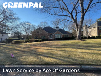 Lawn Cuttingin Alpharetta,30004,Yard Cutting by Ace Of Gardens, work completed in Feb , 2026
