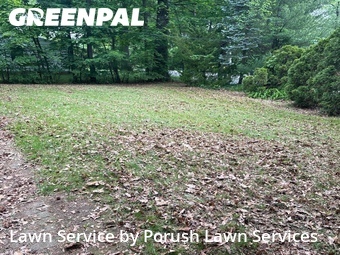 Lawn Mow nearby Great Neck, NY, 