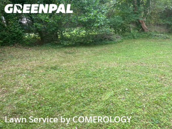 Lawn Care nearby Marietta, GA, 