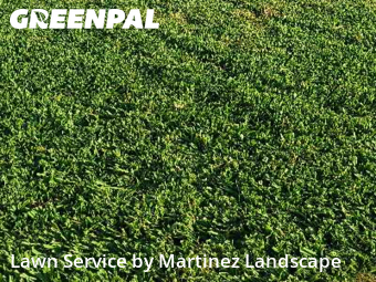 Lawn Services in The Villages, 34762, Grass Care by Martinez Landscape, work completed in Dec , 2025