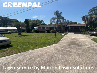 Yard Cutting nearby Belleview, FL, 