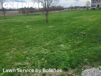 Lawn Care Service nearby Carroll, OH, 