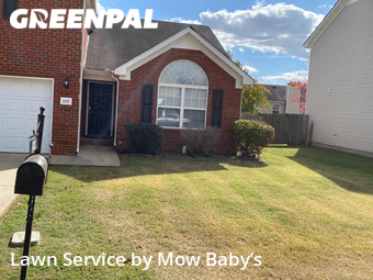 Grass Cut nearby Murfreesboro, TN, 