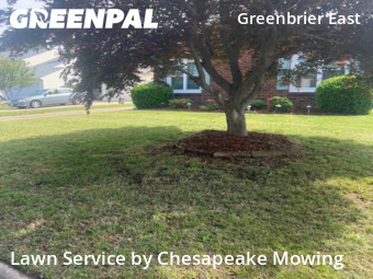Lawn Cut nearby Chesapeake, VA, 