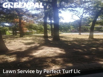 Lawn Cut nearby Arlington, TX, 