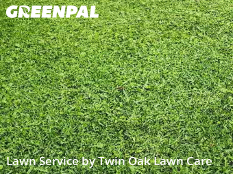 Grass Cut nearby Orange Park, FL, 