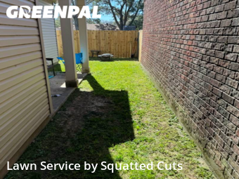 Grass Cut nearby Lafayette, LA, 