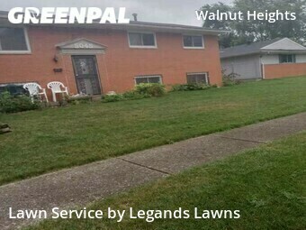 Lawn Maintenance nearby Columbus, OH, 