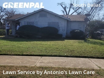 Lawn Cut nearby Dallas, TX, 