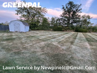 Lawn Mowing Service nearby Mc Cordsville, IN, 