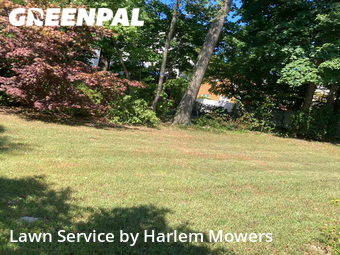 Landscaping Maintenance in New Rochelle, 10801, Yard Maintenance by Harlem Mowers, work completed in Dec , 2025