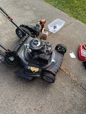 Sagitario LawnMower Shop Photo 2
