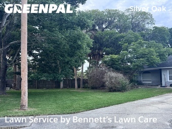 Lawn Mow nearby Port Orange, FL, 
