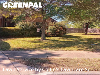Lawn Care in Buda, 78610, Yard Management by Collin's Lawncare Se, work completed in Nov , 2025