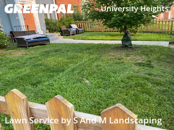 Yard Cutting nearby Washington, MD, 