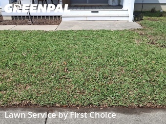 Lawn Maintenance nearby St. Augustine, FL, 