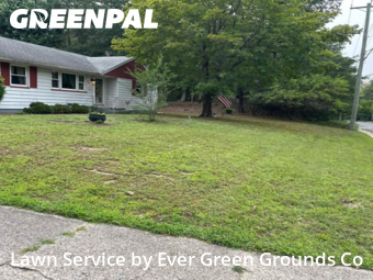 Yard Cutting nearby Clementon, DE, 