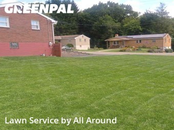 Grass Cut nearby Pittsburgh, PA, 